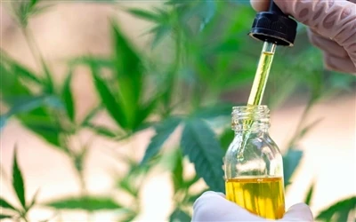 9 lợi ích sức khỏe của dầu CBD - Và tác dụng phụ