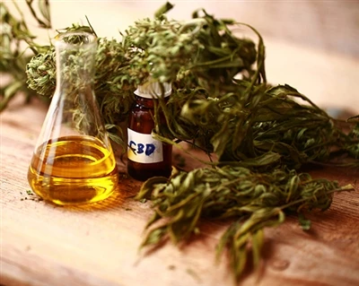 CBD hoạt động như thế nào?