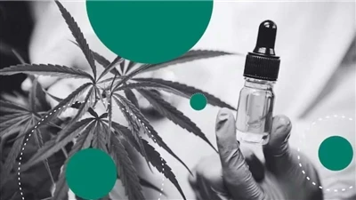 Tại sao CBD lại tạo nên loại son dưỡng môi tự nhiên tốt nhất