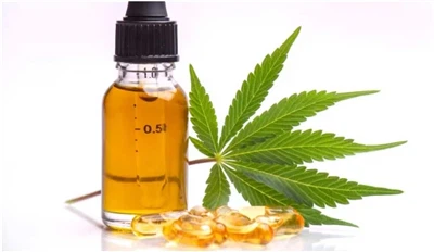 Sự khác biệt giữa dầu hạt gai dầu, CBD và chiết xuất cây gai dầu là gì?