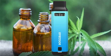 Công ty Hemp-CBD Charlotte's Web thay thế CEO sau cuộc nổi dậy của nhóm cổ đông