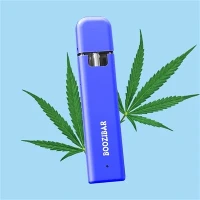 Bút sáp dùng một lần
